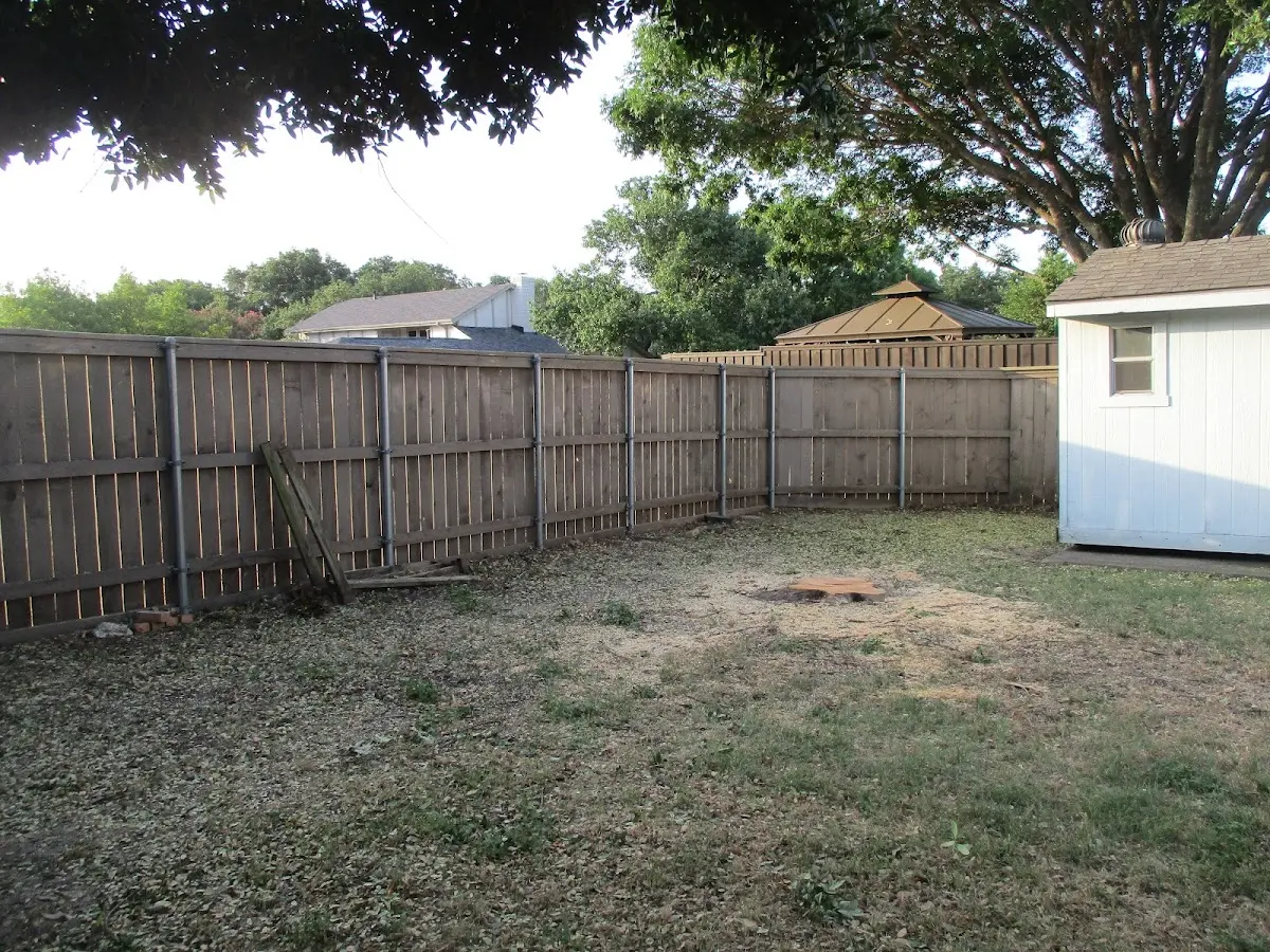 Cleared yard after professional tree removal in Dexter